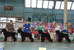 MonoBreed Dog Show rank CAC